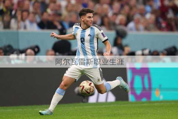阿尔瓦雷斯职业生涯