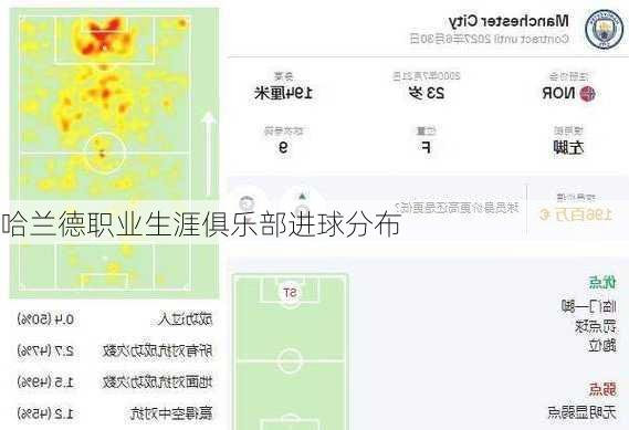 哈兰德职业生涯俱乐部进球分布