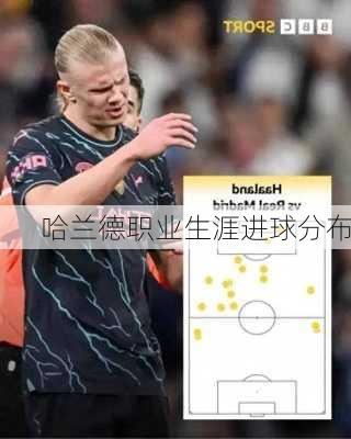哈兰德职业生涯进球分布