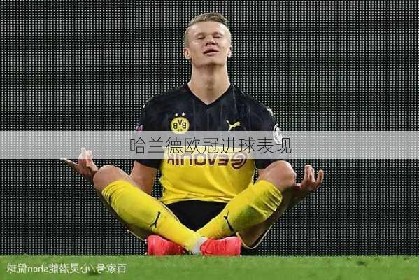 哈兰德欧冠进球表现