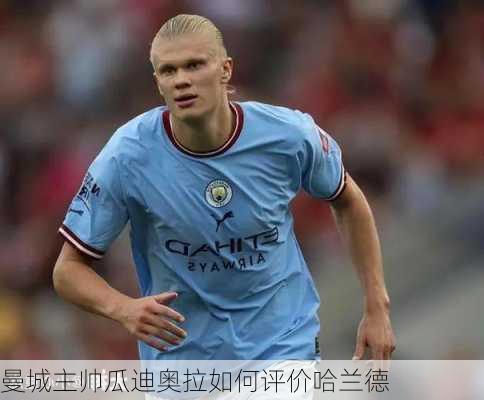 曼城主帅瓜迪奥拉如何评价哈兰德