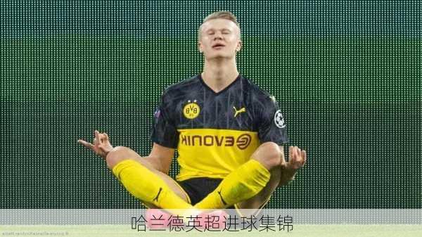 哈兰德英超进球集锦