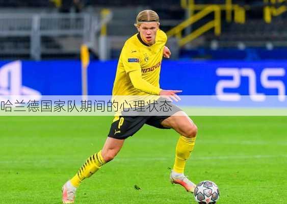哈兰德国家队期间的心理状态