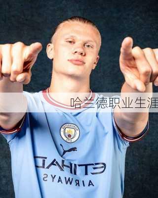 哈兰德职业生涯