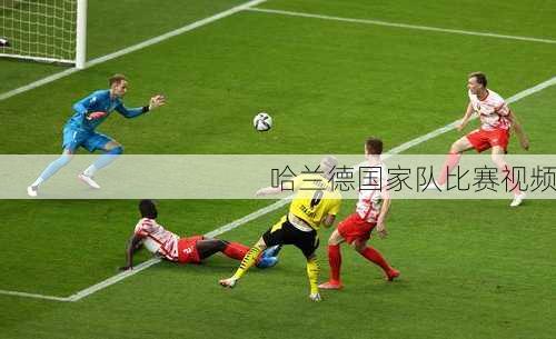 哈兰德国家队比赛视频