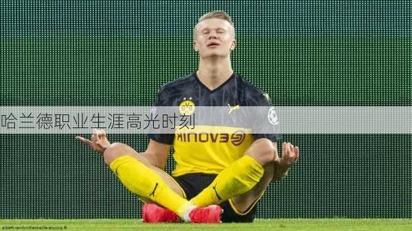 哈兰德职业生涯高光时刻