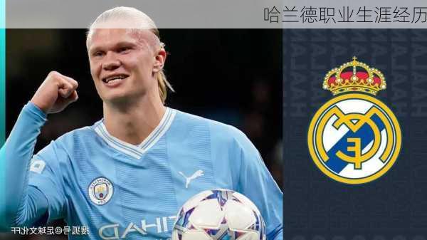 哈兰德职业生涯经历