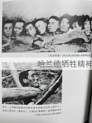 哈兰德牺牲精神