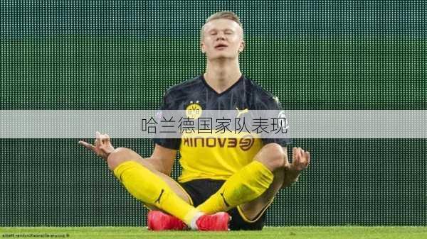 哈兰德国家队表现