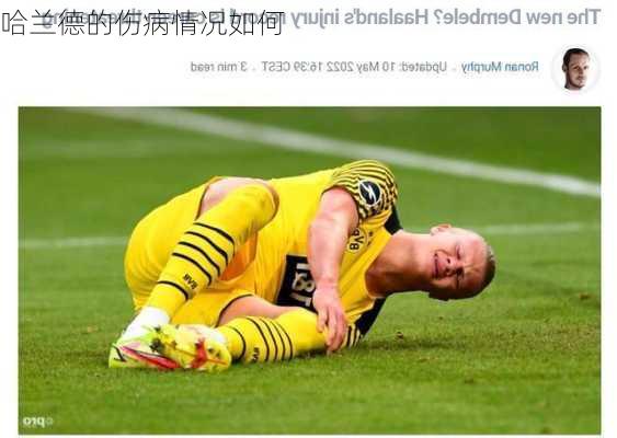 哈兰德的伤病情况如何