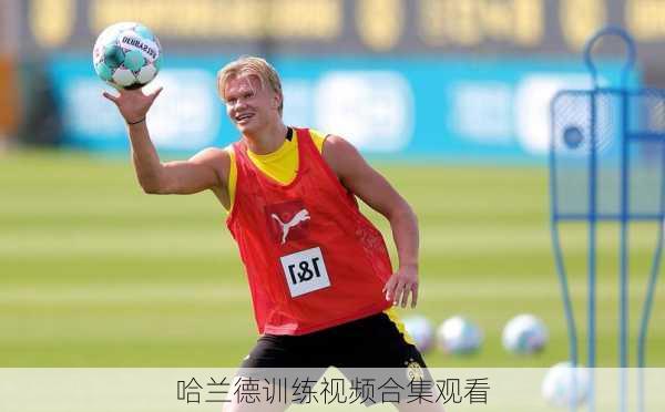 哈兰德训练视频合集观看