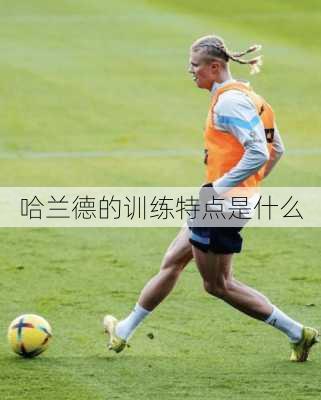 哈兰德的训练特点是什么