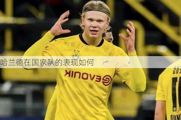 哈兰德在国家队的表现如何