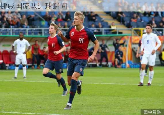 挪威国家队进球瞬间