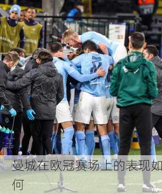 曼城在欧冠赛场上的表现如何