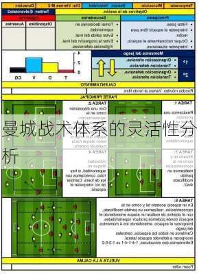 曼城战术体系的灵活性分析
