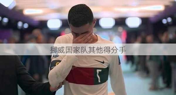 挪威国家队其他得分手
