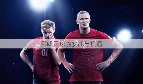 挪威足球的挑战与机遇