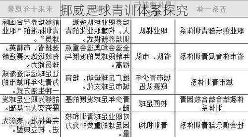 挪威足球青训体系探究