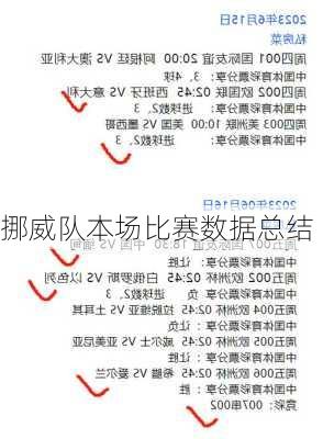 挪威队本场比赛数据总结