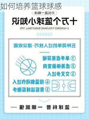 如何培养篮球球感