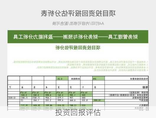 投资回报评估
