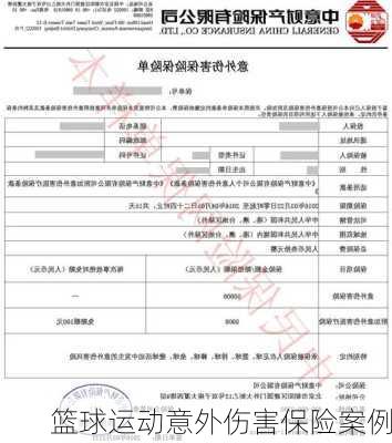 篮球运动意外伤害保险案例