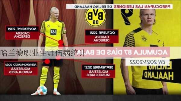 哈兰德职业生涯伤病统计