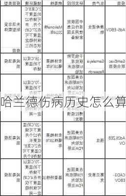 哈兰德伤病历史怎么算