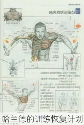 哈兰德的训练恢复计划