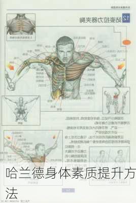 哈兰德身体素质提升方法