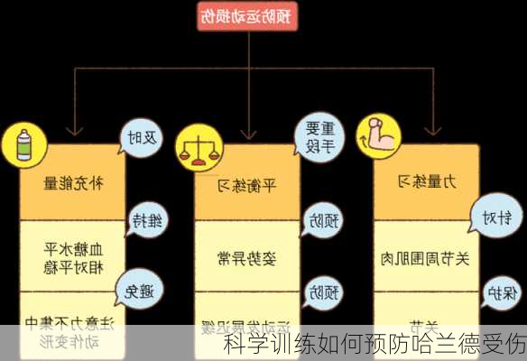 科学训练如何预防哈兰德受伤
