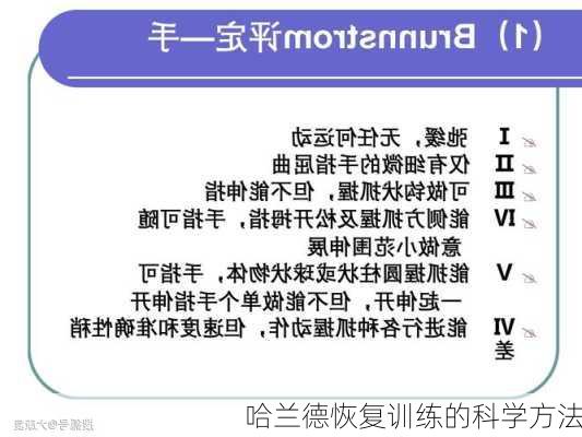 哈兰德恢复训练的科学方法