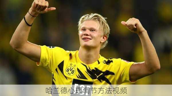 哈兰德心理调节方法视频