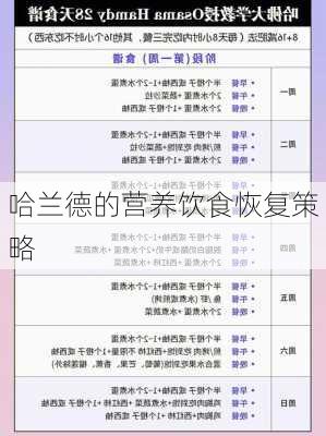 哈兰德的营养饮食恢复策略