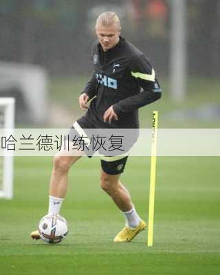 哈兰德训练恢复