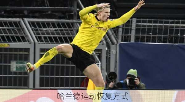 哈兰德运动恢复方式
