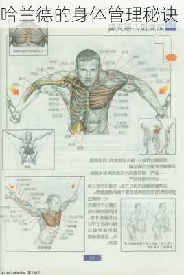 哈兰德的身体管理秘诀