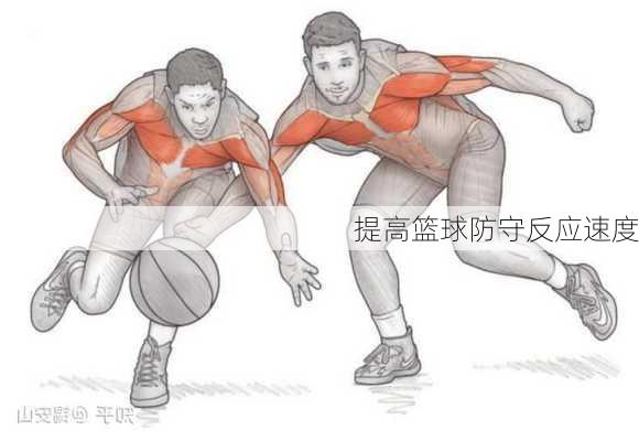 提高篮球防守反应速度