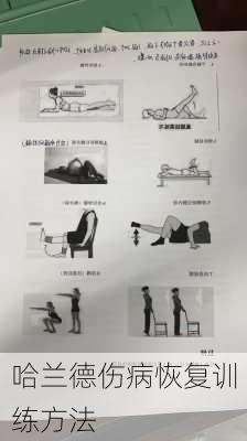 哈兰德伤病恢复训练方法