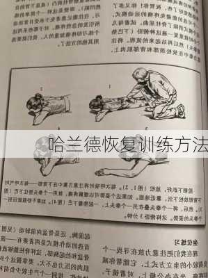 哈兰德恢复训练方法