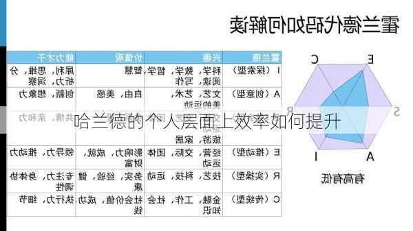哈兰德的个人层面上效率如何提升
