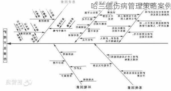 哈兰德伤病管理策略案例