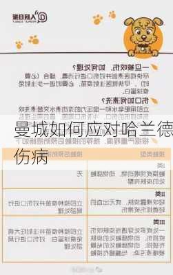 曼城如何应对哈兰德伤病