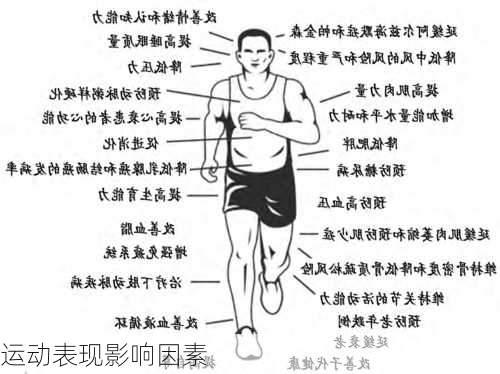 运动表现影响因素