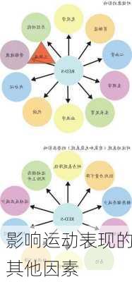 影响运动表现的其他因素