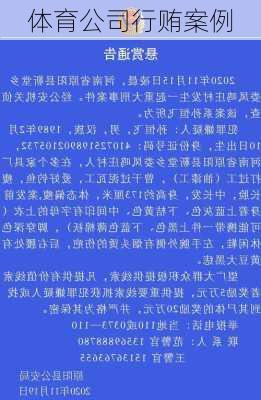 体育公司行贿案例