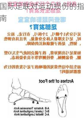 国际足联对运动损伤的指南