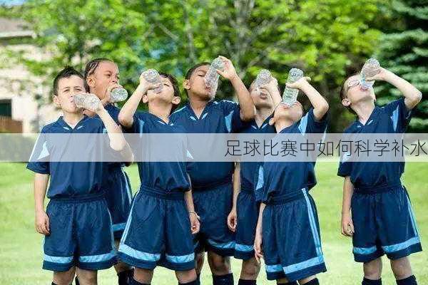 足球比赛中如何科学补水