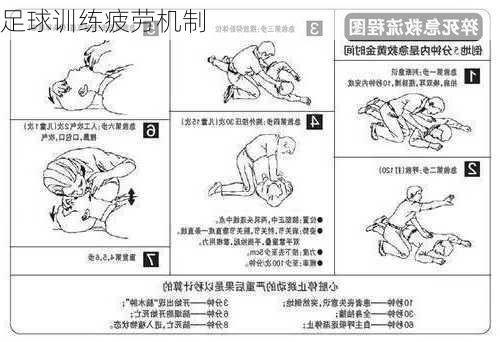 足球训练疲劳机制